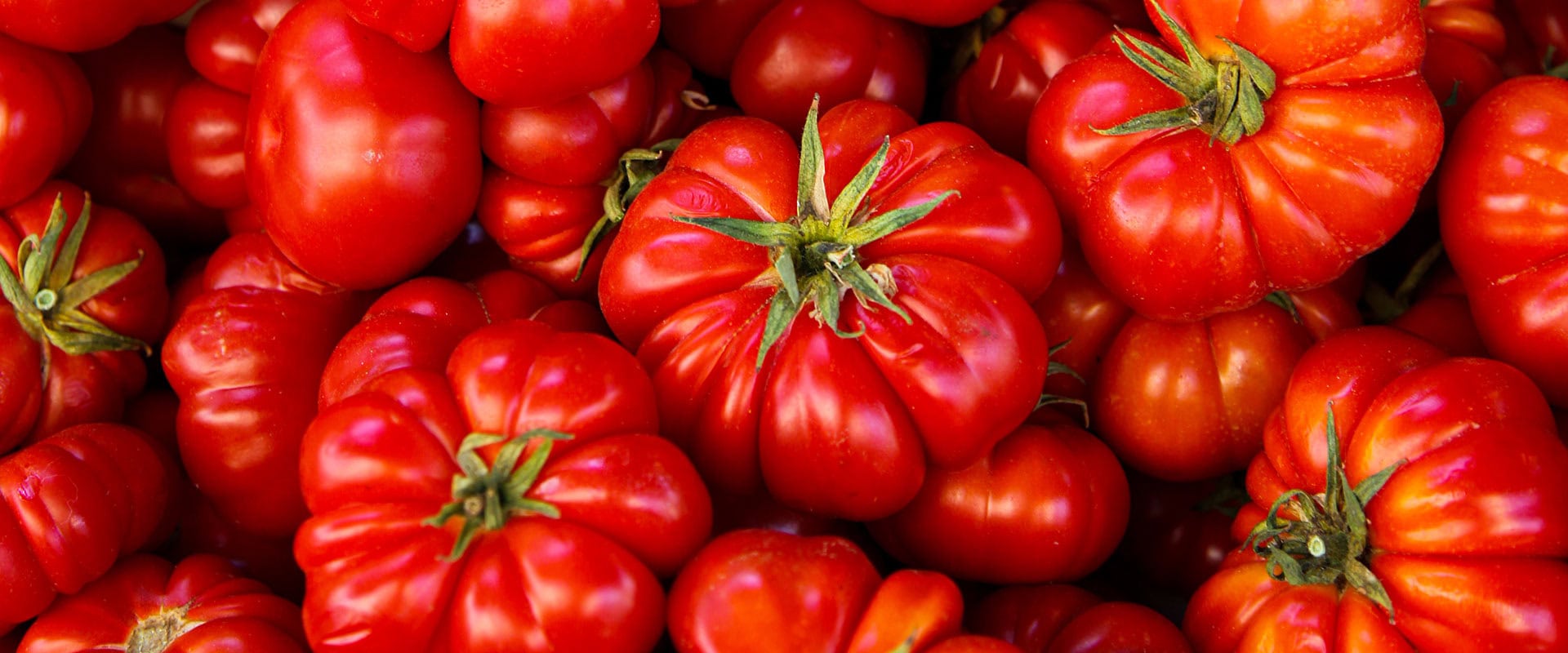 Tomaten